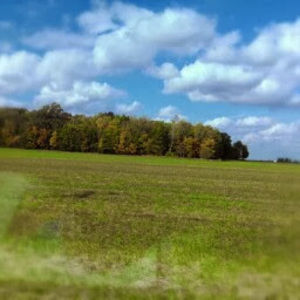 Meet your Posher, Joy